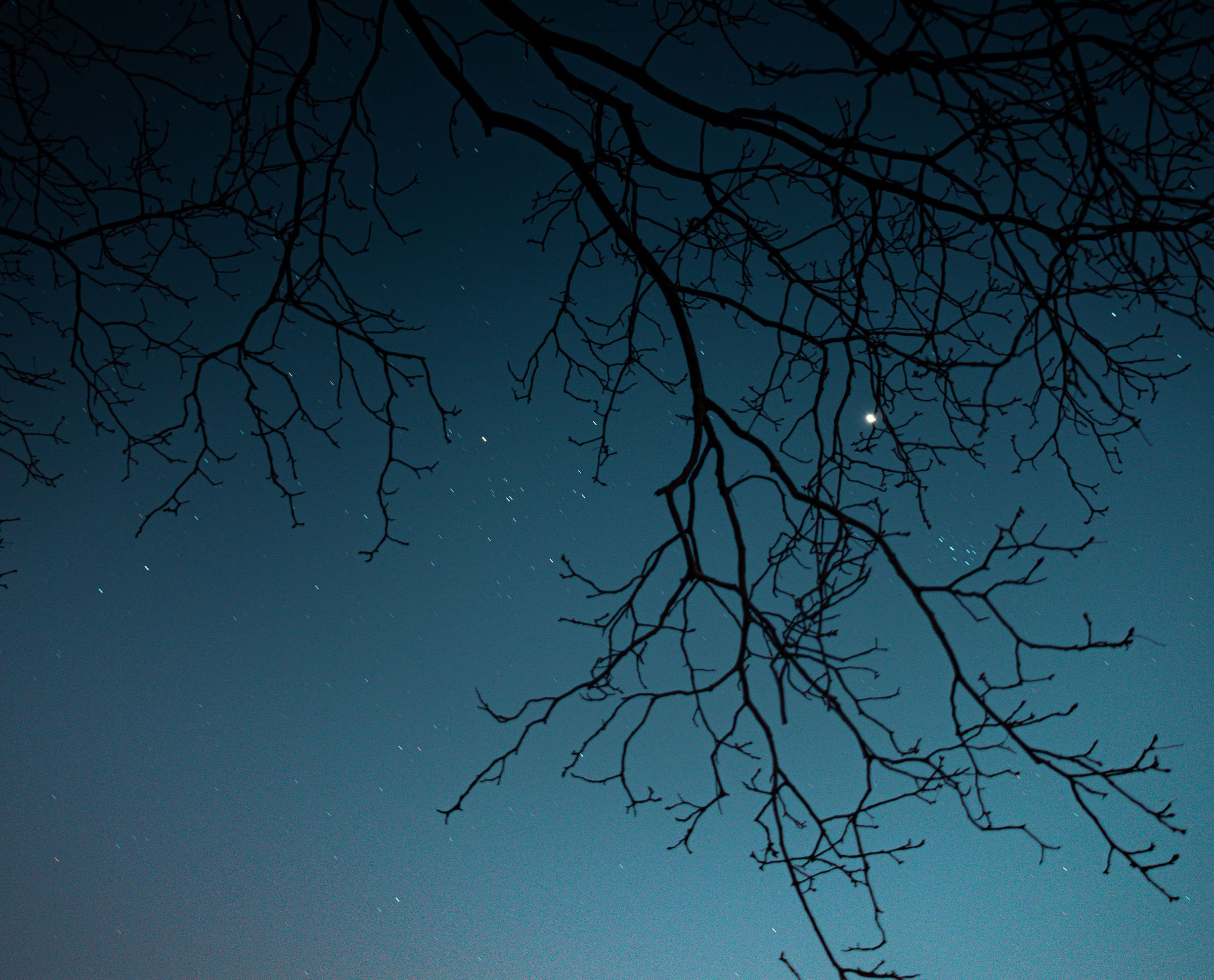 Piet van der Henne is een amateurfilmer uit Franeker